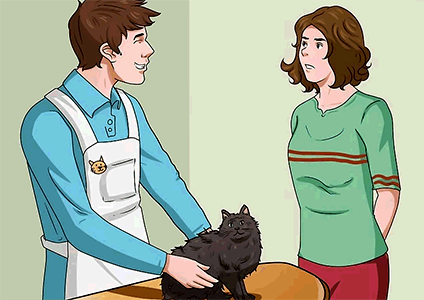 Стрижка кота у грумера